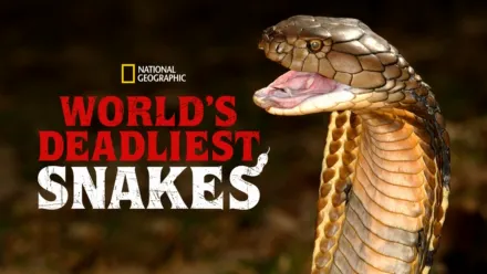 thumbnail - World's Deadliest Snakes