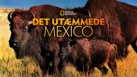 thumbnail - Det utæmmede Mexico