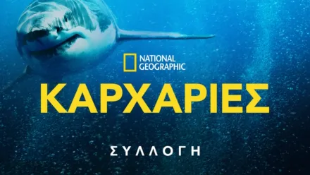 thumbnail - National Geographic Καρχαρίες