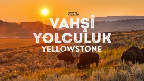 thumbnail - Vahşi Yolculuk: Yellowstone