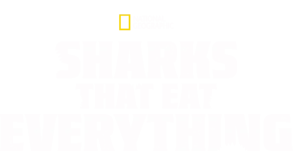 Unersättlich: Haie, die alles fressen