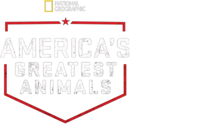 America's Greatest Animals