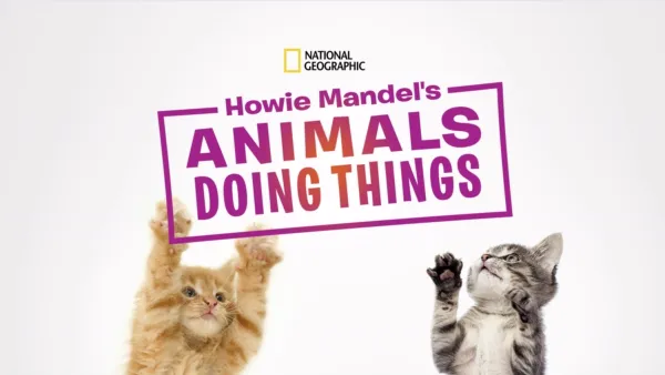 缩略图-Howie Mandel动物做事情