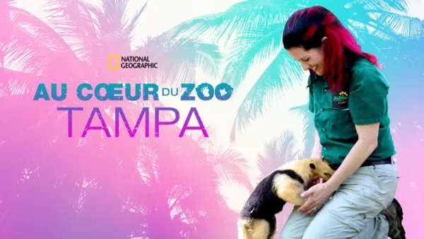 thumbnail - Au cœur du zoo : Tampa