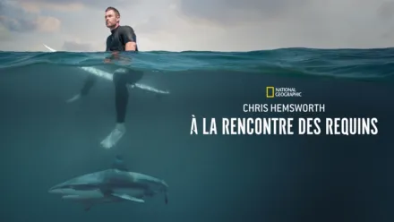 thumbnail - Chris Hemsworth à la rencontre des requins