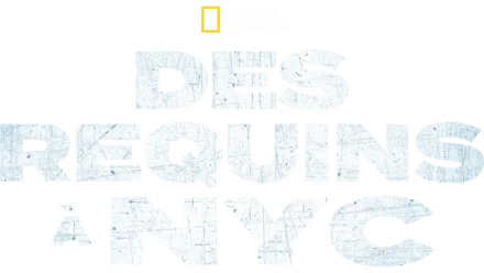 Des requins à NYC