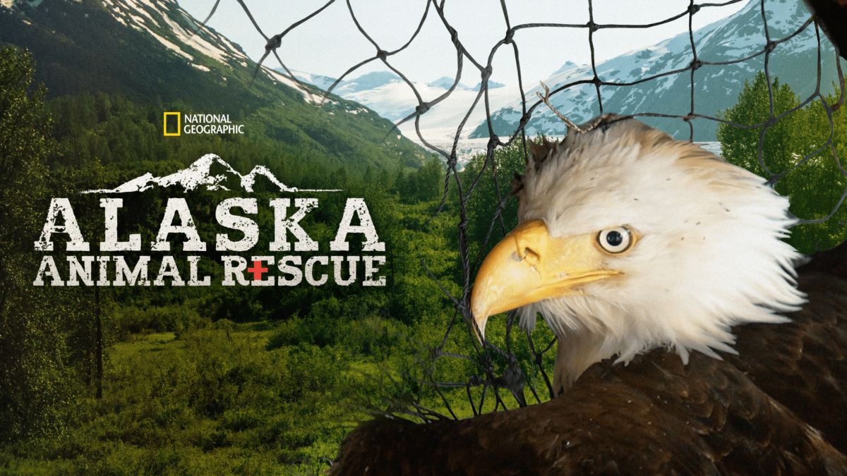 Watch Alaska Animal Rescue | Disney+