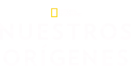 Nuestros Orígenes