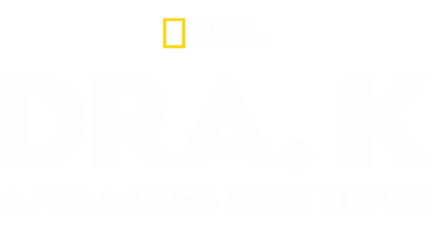 Dra. K: Animales exóticos