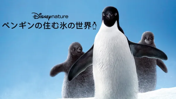 thumbnail - ペンギンの住む氷の世界