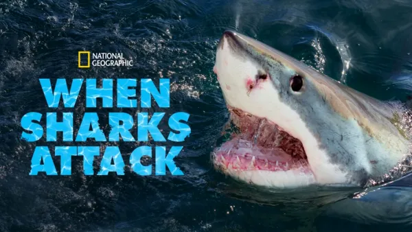 thumbnail - Quand les requins attaquent
