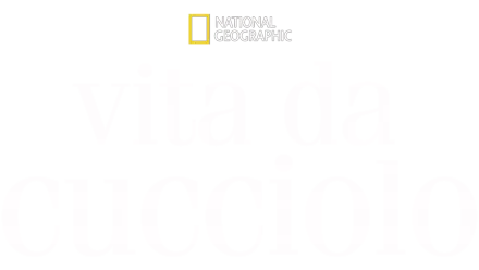 Vita da cucciolo