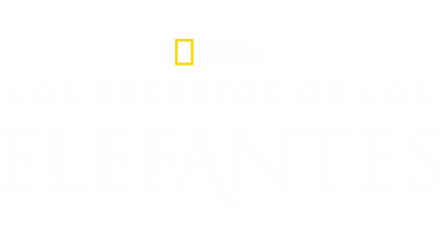 Los secretos de los elefantes