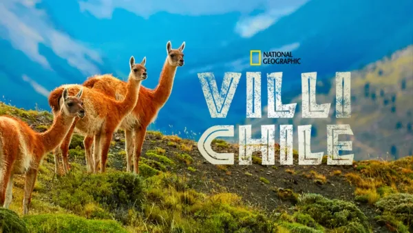 thumbnail - Villi Chile
