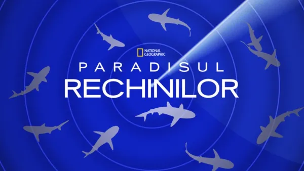 thumbnail - Paradisul rechinilor