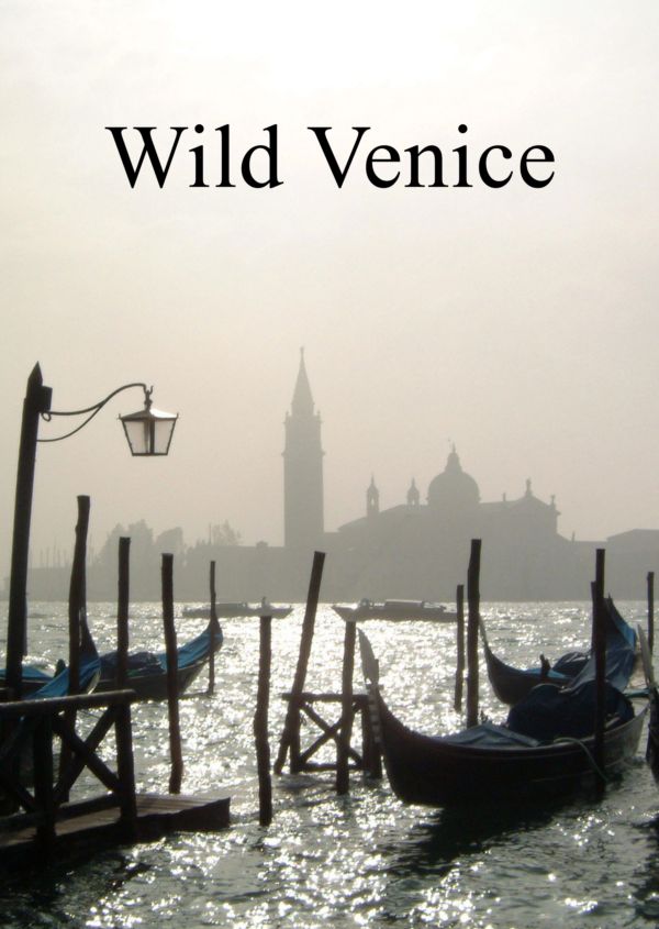 Wild Venice on Disney+ ES