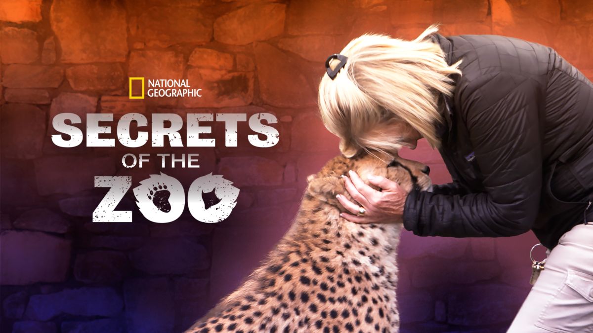 Watch Secrets Of The Zoo Disney+