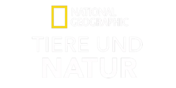 National Geographic – Tiere und Natur Title Art Image