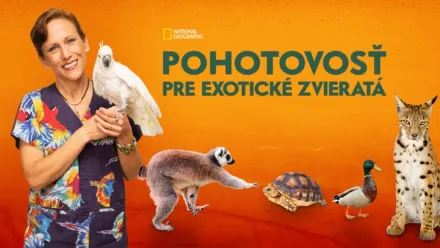 thumbnail - Pohotovosť pre exotické zvieratá