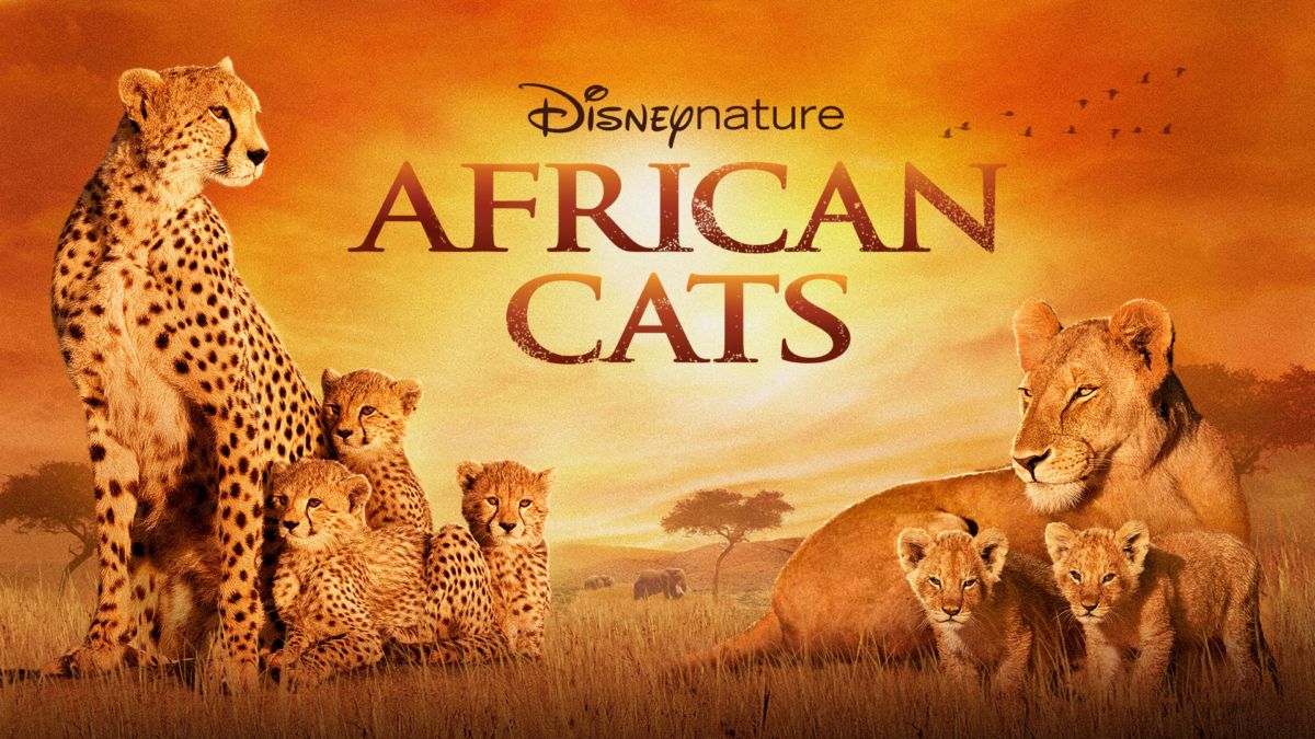 Watch Disneynature African Cats Full Movie Disney+