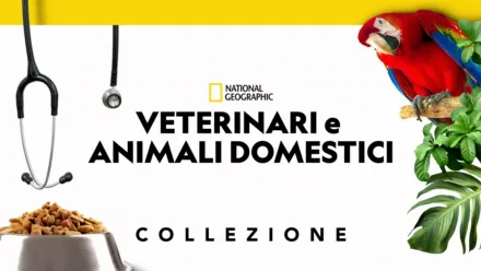 thumbnail - Veterinari e animali domestici