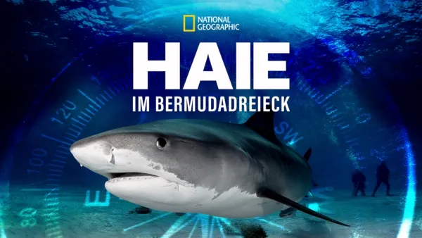 thumbnail - Haie im Bermudadreieck