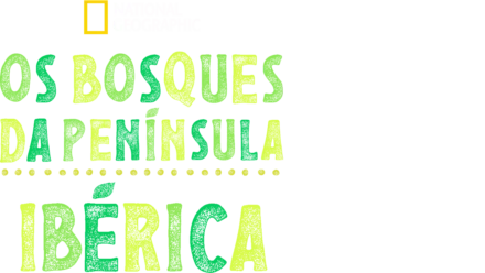 Os Bosques da Península Ibérica