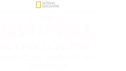 Disney's Animal Kingdom: magiczne królestwo zwierząt