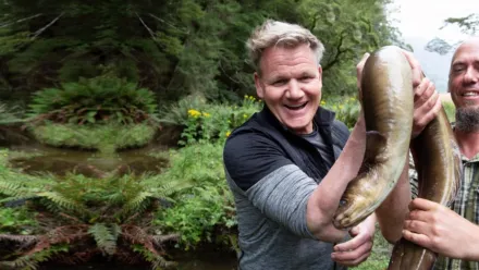 Gordon Ramsay: świat na talerzu