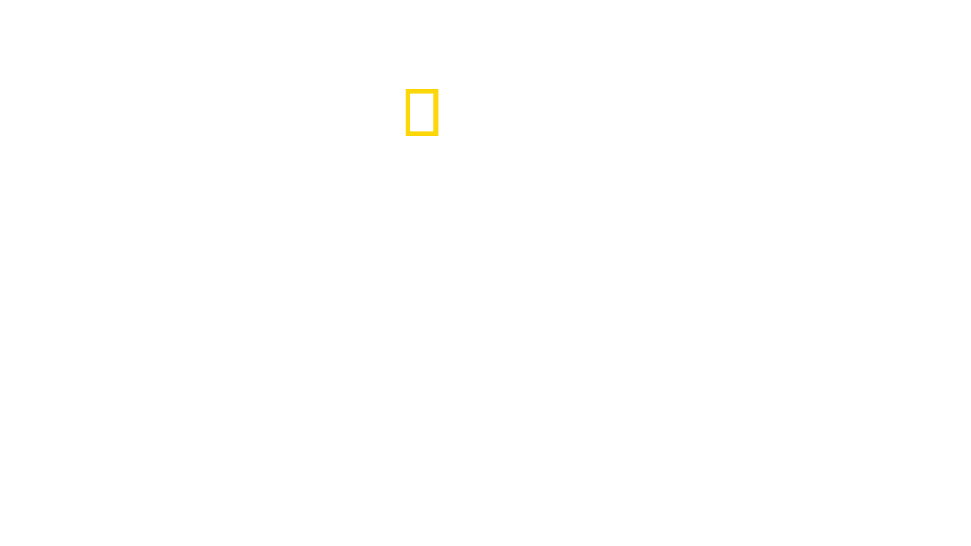 Winged Seduction: Birds of Paradise | Disney+