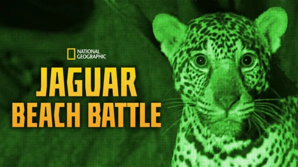 thumbnail - Jaguar Beach Battle