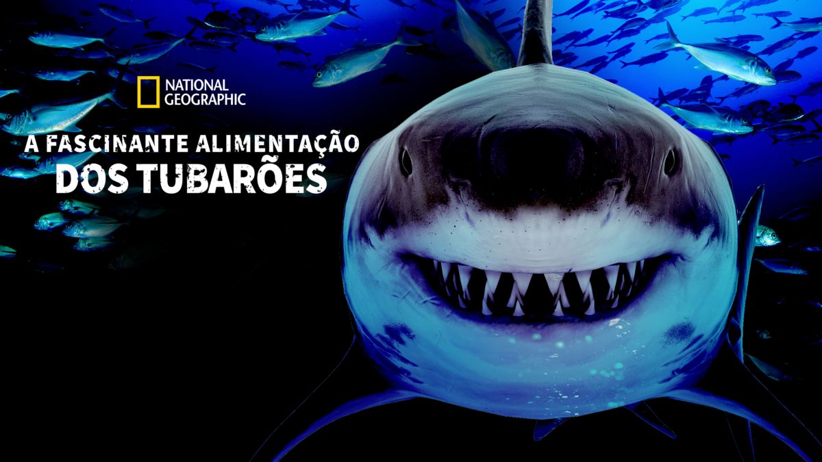 A Fascinante Alimentação dos Tubarões | Disney+