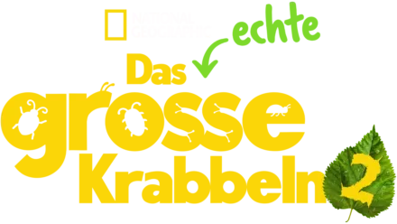 Das echte große Krabbeln