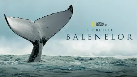 thumbnail - Secretele Balenelor