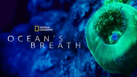 thumbnail - Ocean's Breath