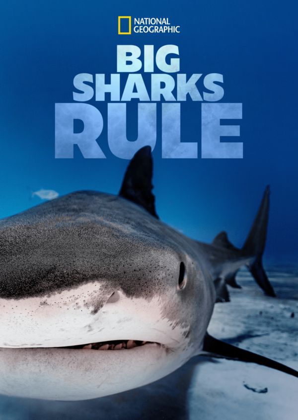 Big Sharks Rule on Disney+ US
