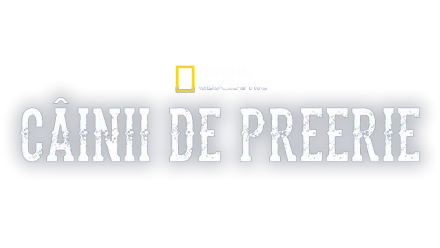 Câinii de preerie