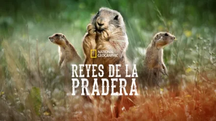thumbnail - Reyes de la Pradera