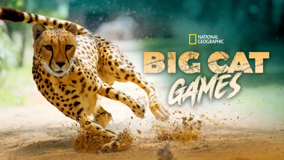 Watch Big Cat Games | Disney+