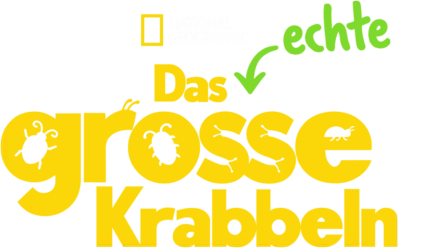 Das echte große Krabbeln