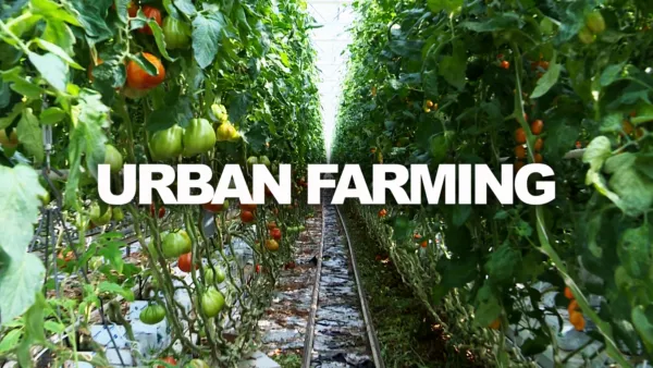 thumbnail - Urban Farming