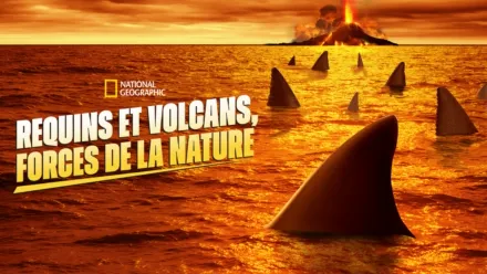 thumbnail - Requins et volcans, forces de la nature