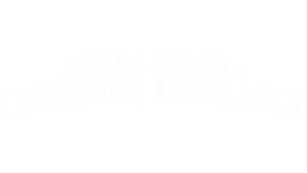 Wielka draka w chińskiej dzielnicy