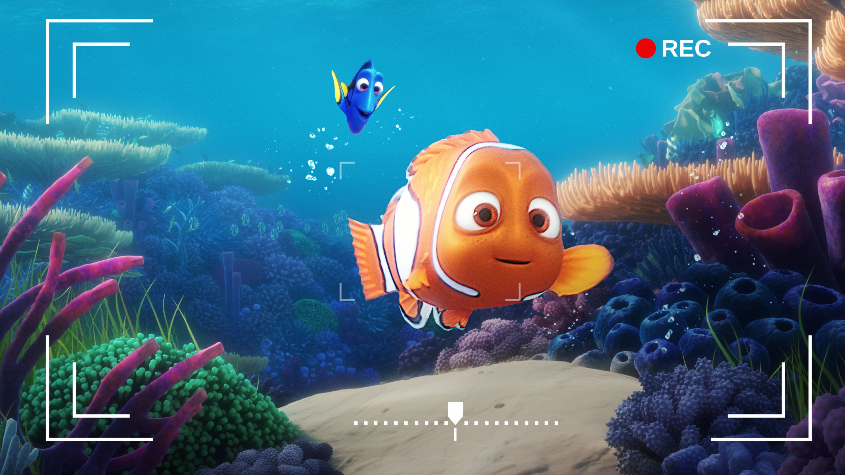  Disney's Finding Dory, Nemo on Green Coral Reef