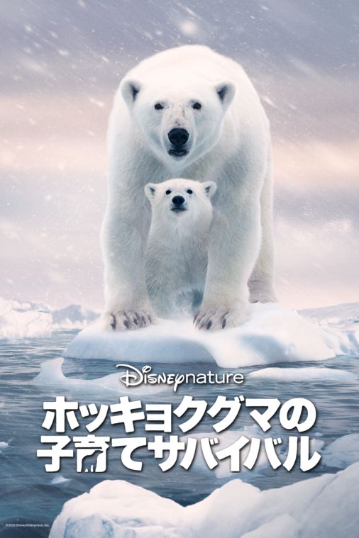 Watch ディズニーネイチャー ホッキョクグマの子育てサバイバル Full Movie Disney