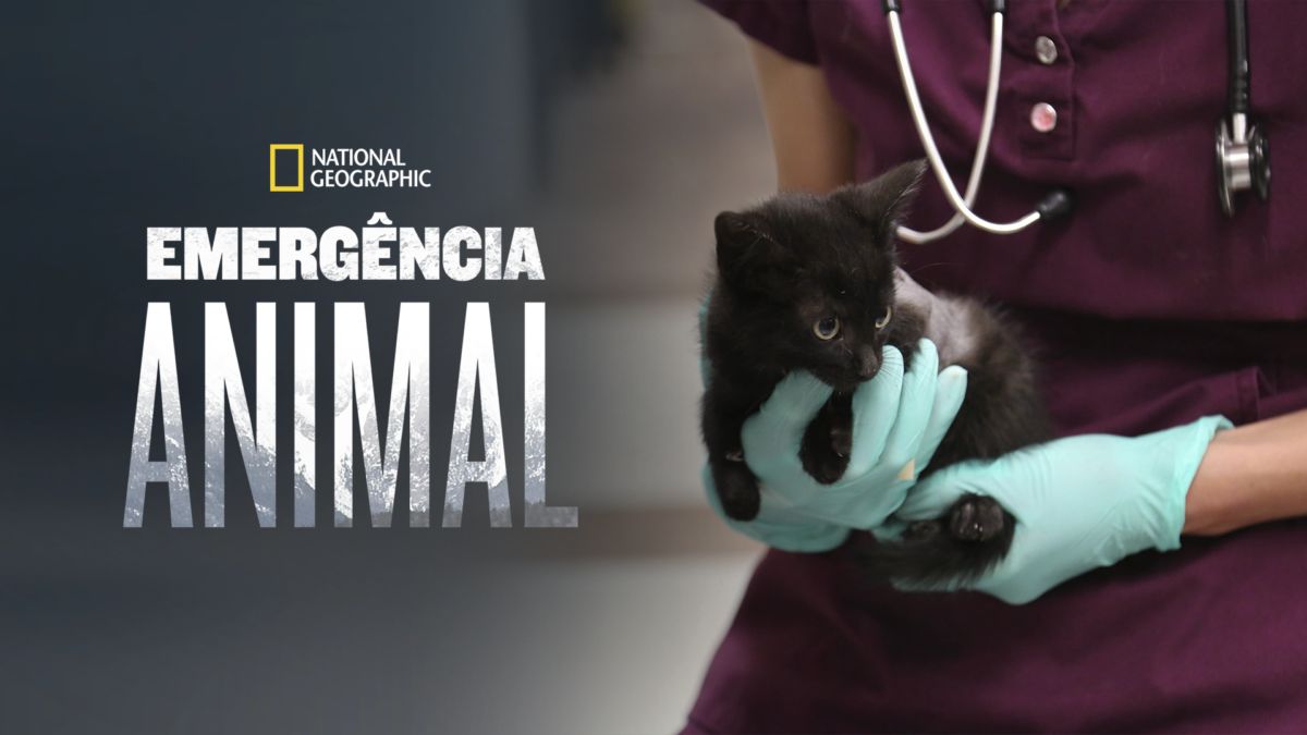 Emergência Animal (Temporada 1)