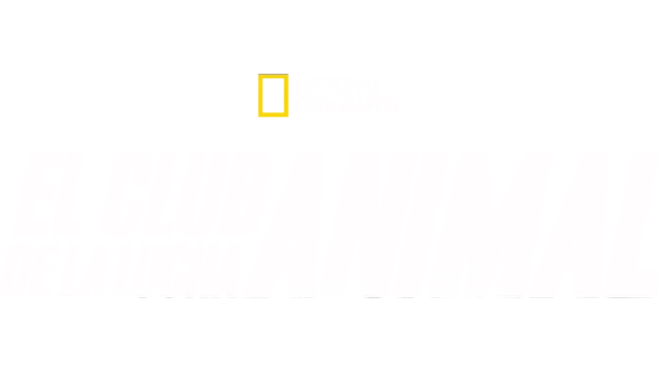 El club de la lucha animal