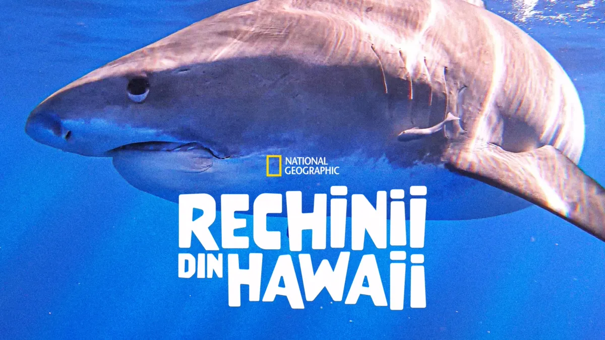 Vizionează Rechinii din Hawaii | Disney+