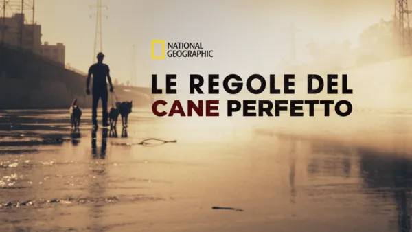 thumbnail - Le Regole Del Cane Perfetto