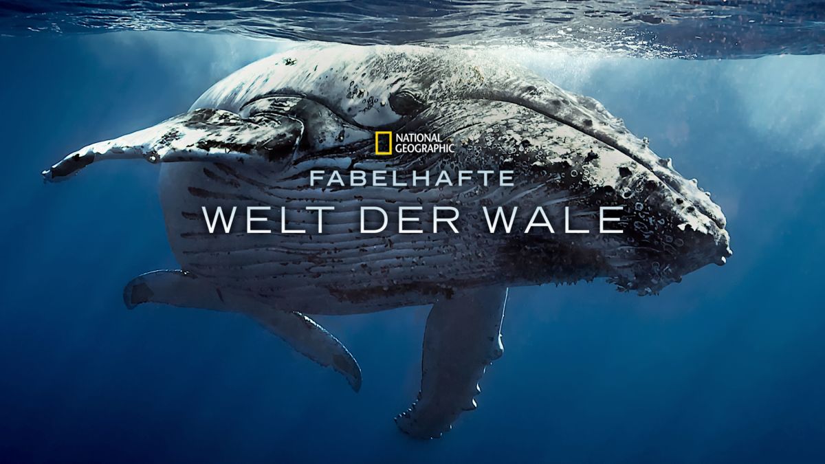Fabelhafte Welt der Wale streamen Ganzer Film Disney+